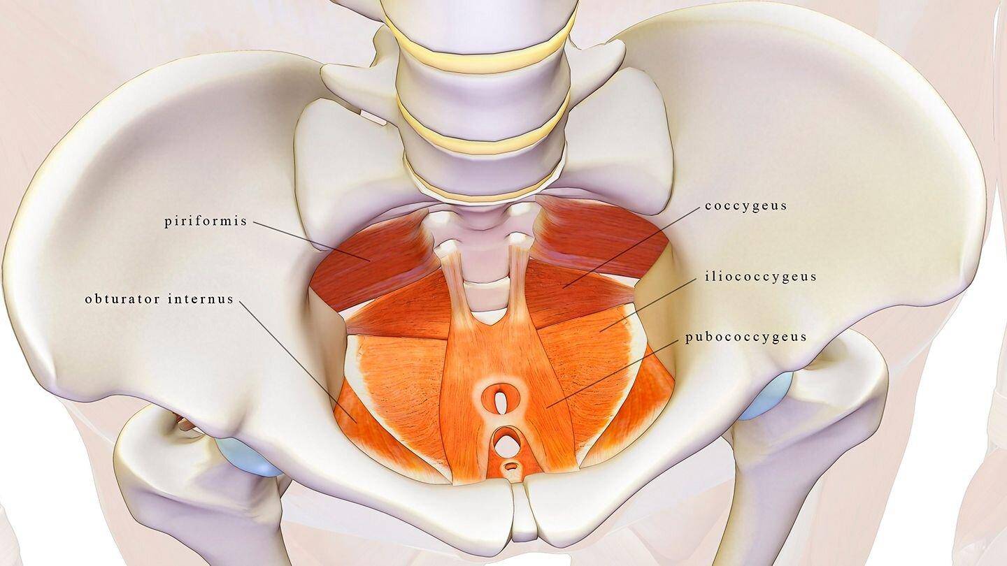 What is Pelvic Floor Physical Therapy and what can I expect from my first session?